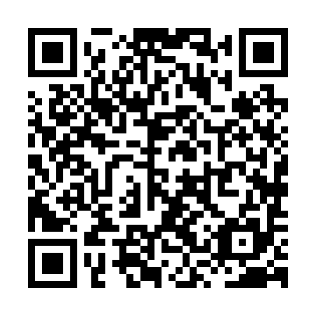 QR code for plate XSX 295