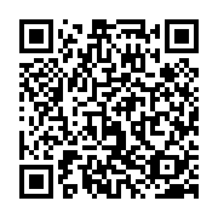 QR code for XTM 029