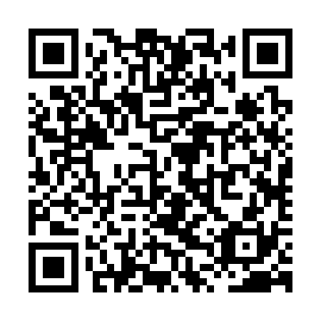 QR code for plate XTR 330