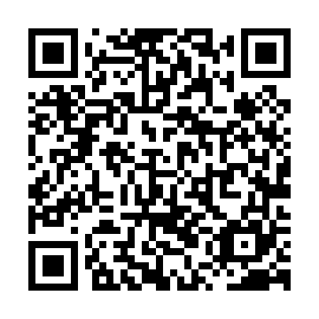 QR code for plate XUL 065