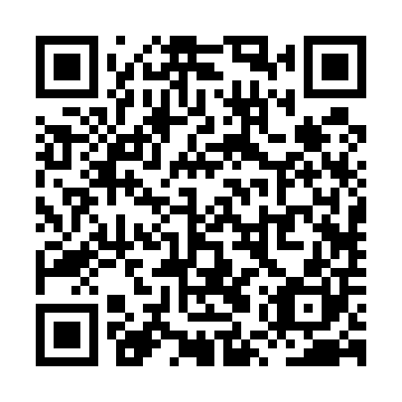 QR code for plate XUR 500