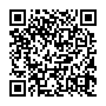 QR code for plate XVE 338