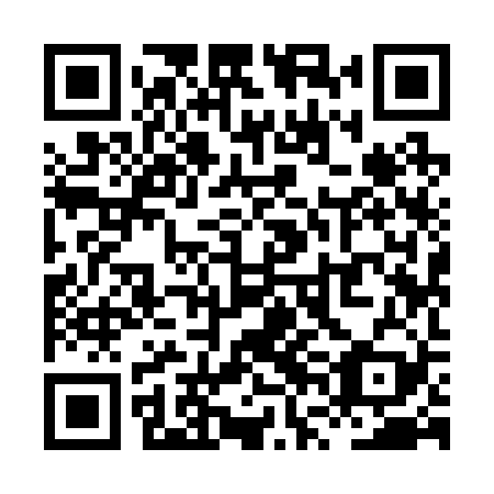QR code for XVI 229