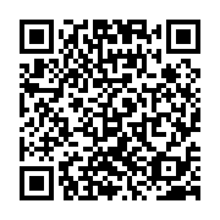 QR code for XVO 119