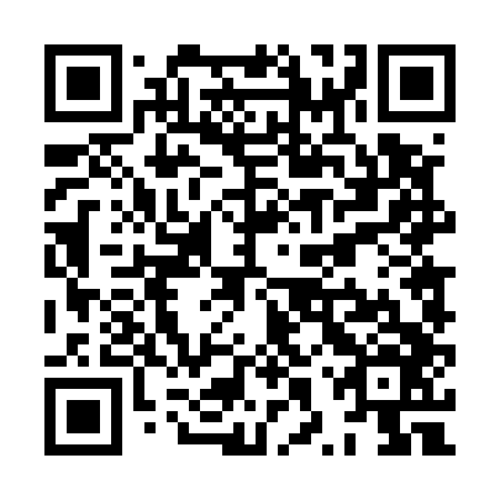 QR code for plate XXT 546