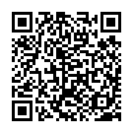 QR code for plate XYB 691