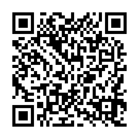 QR code for XYH 955