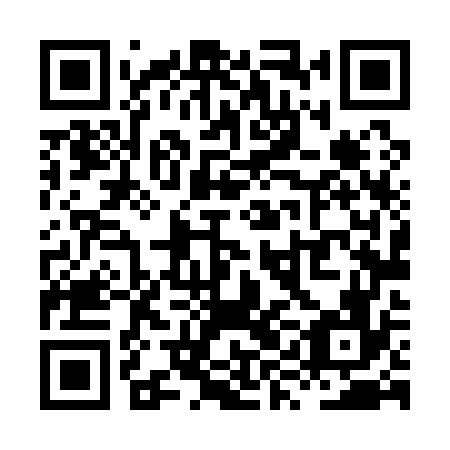 QR code for plate XYL 176