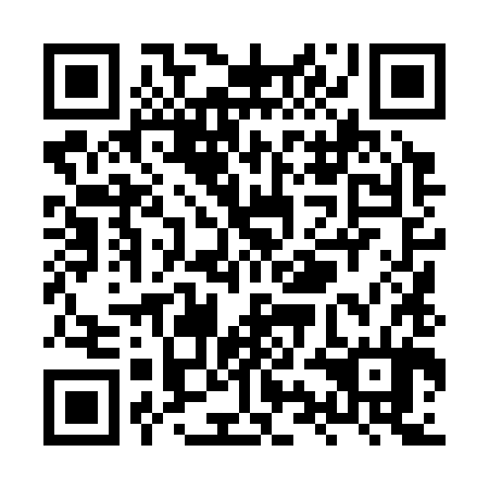 QR code for XYL384