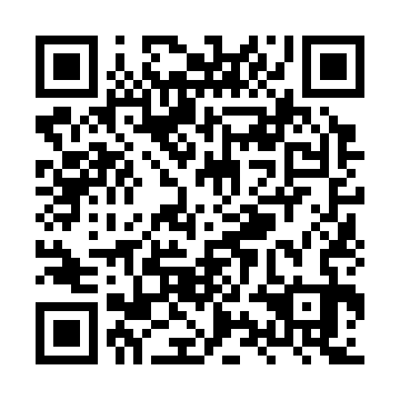 QR code for XYN 333