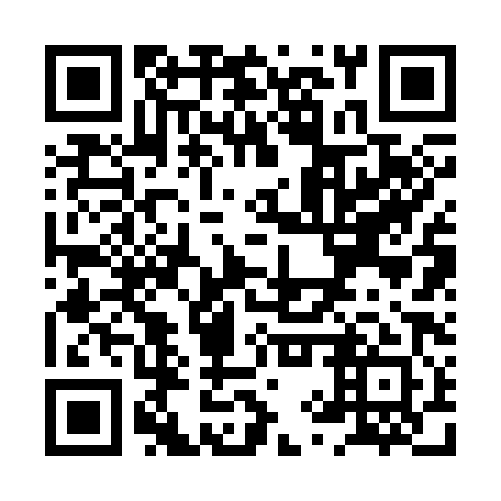 QR code for XYR 381