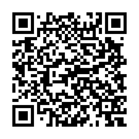 QR code for plate XYT 073
