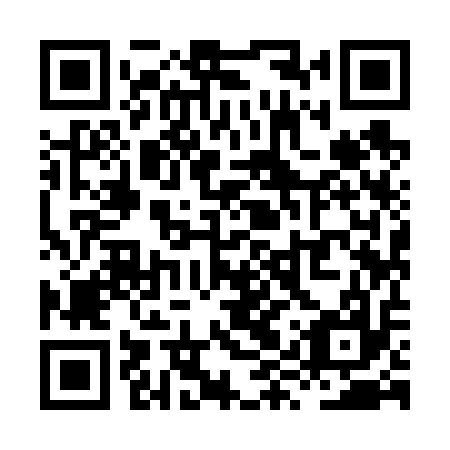 QR code for plate XYY 617