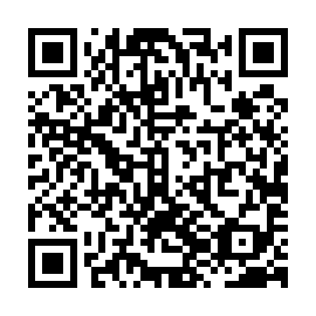 QR code for plate XZD 599