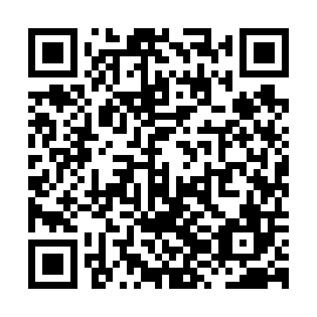 QR code for plate XZI 606