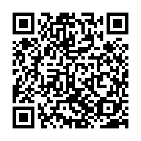QR code for XZI868