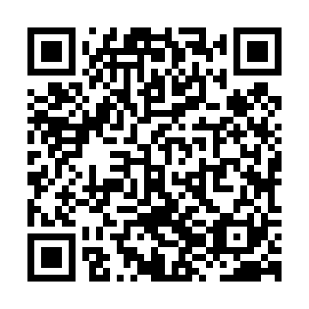 QR code for plate XZJ 421
