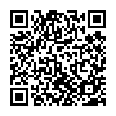 QR code for XZN 607