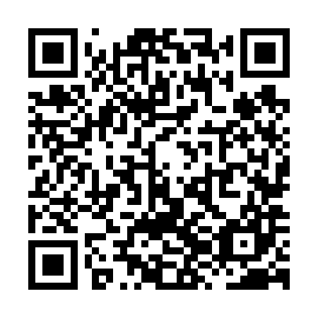QR code for XZN 687
