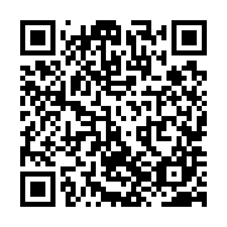 QR code for XZN787