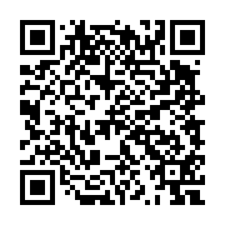 QR code for XZT 411