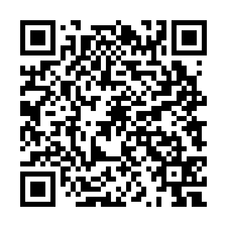QR code for plate XZT 335