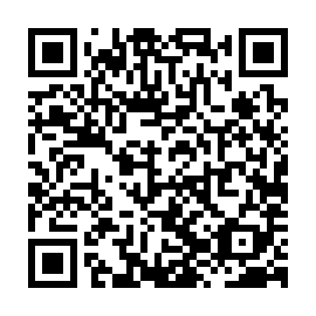 QR code for XZT389
