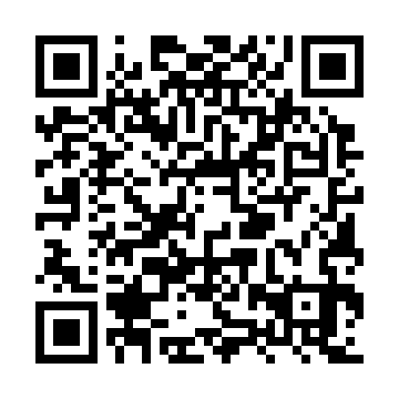 QR code for XZU 333