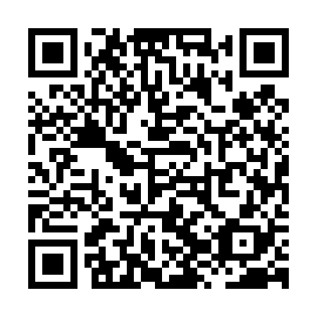 QR code for plate XZU 428