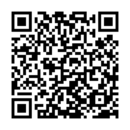 QR code for plate XZX 410