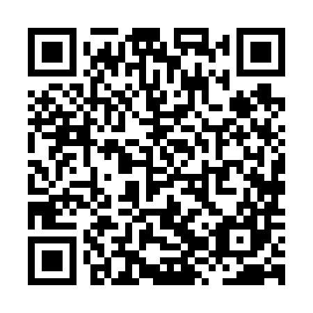QR code for plate XZX 687