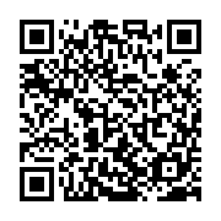 QR code for XZY 955