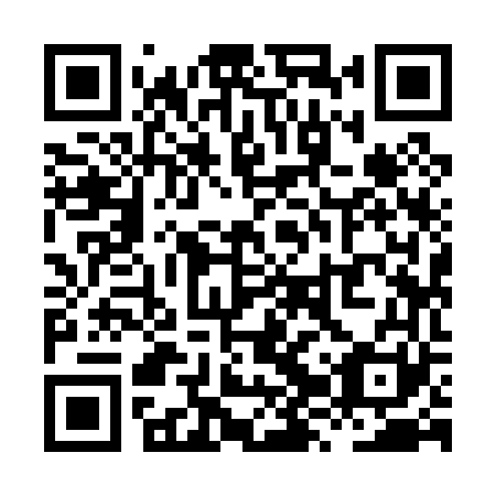 QR code for plate XZY 061