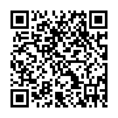 QR code for YAG 996