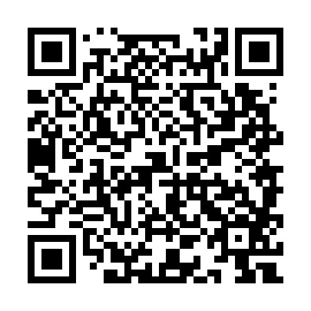 QR code for YAN 786