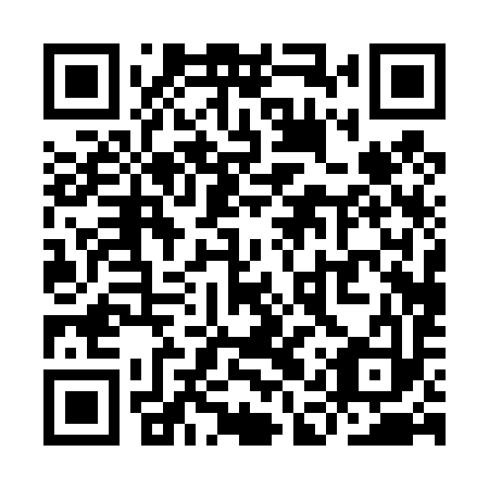QR code for YAP 493