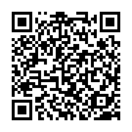 QR code for plate YAR 338