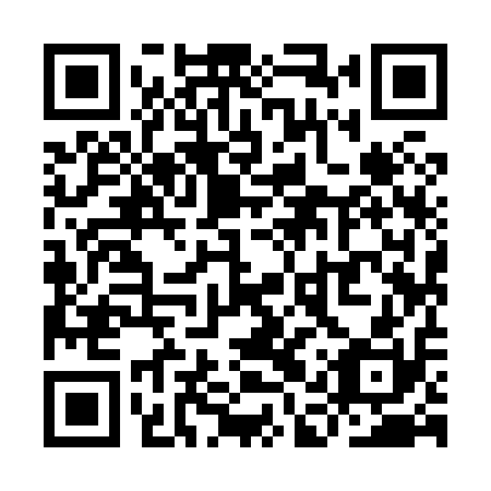QR code for plate YAY 810