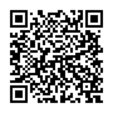 QR code for plate YBC 541