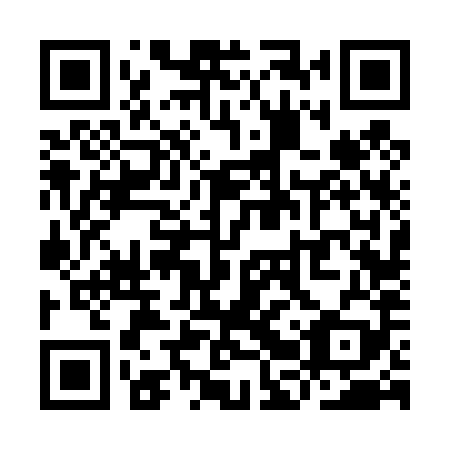 QR code for plate YBV 489