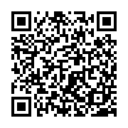 QR code for plate YBY 203