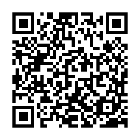 QR code for YBZ 041