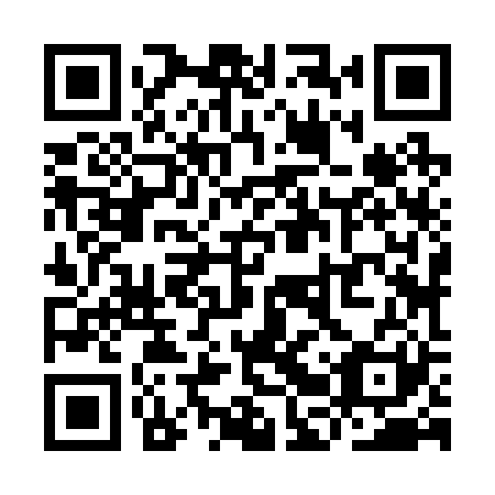 QR code for YBZ221