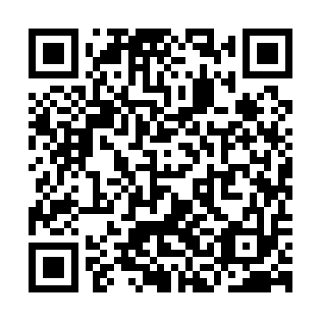 QR code for plate YCI 113