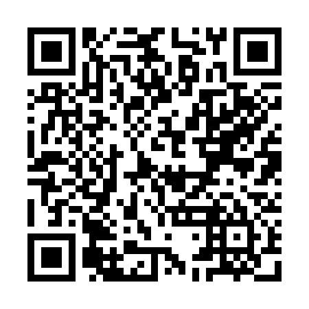 QR code for YDB 335