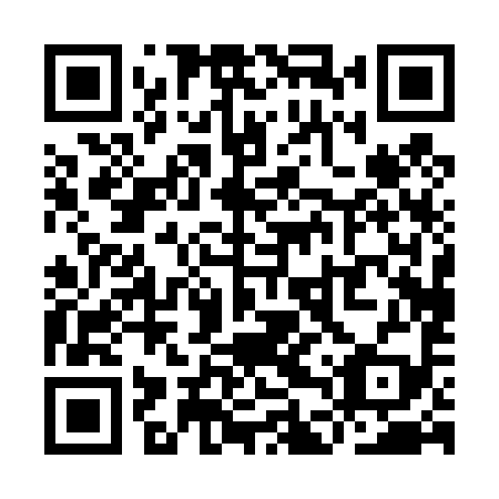 QR code for plate YDP 499