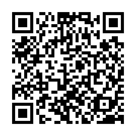 QR code for plate YEC 719