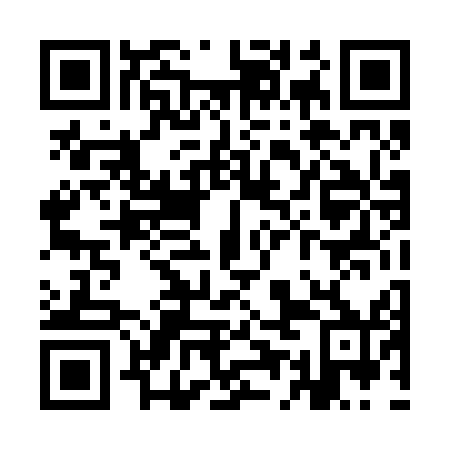 QR code for YED 250