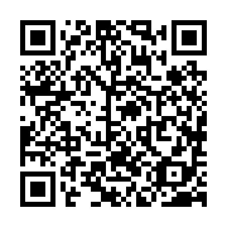 QR code for plate YEH 298