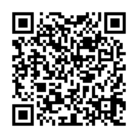 QR code for YEJ919